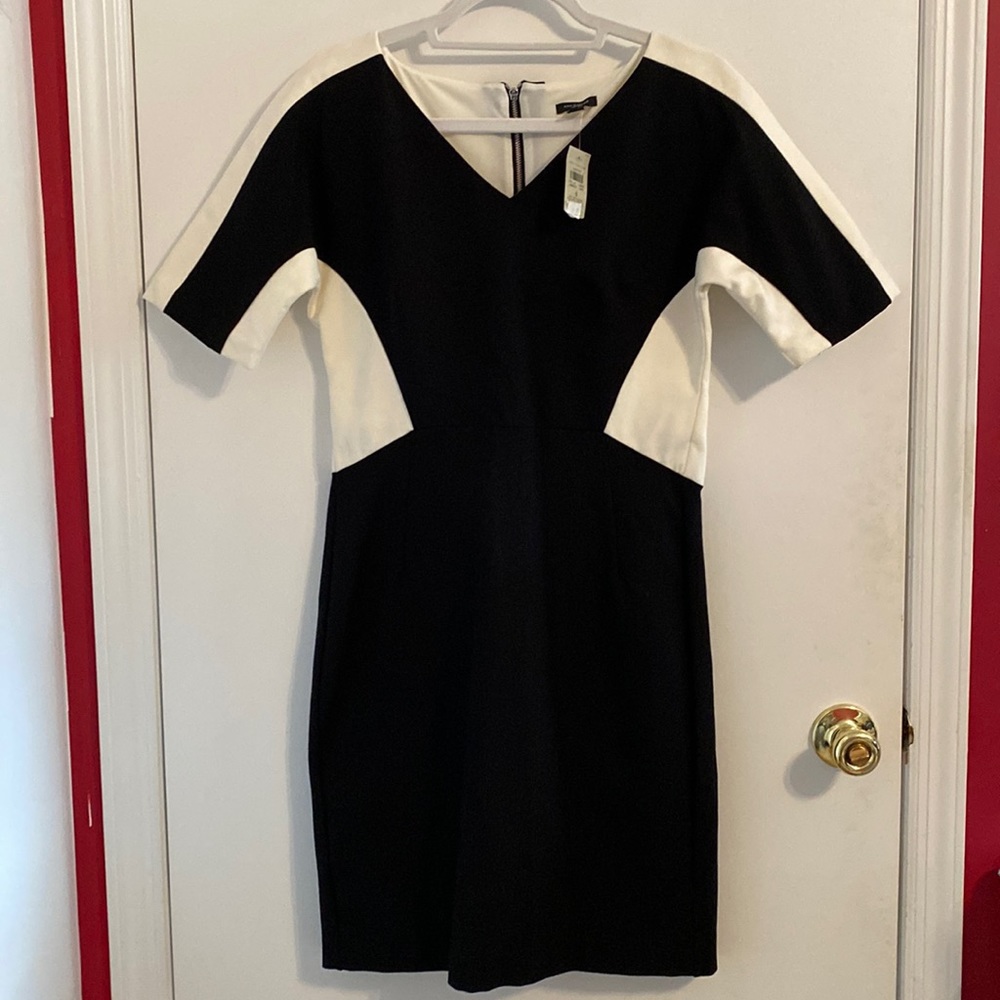 Ann Taylor Black and Cream White Color Block Dress Size 4 Brand New with Tags!